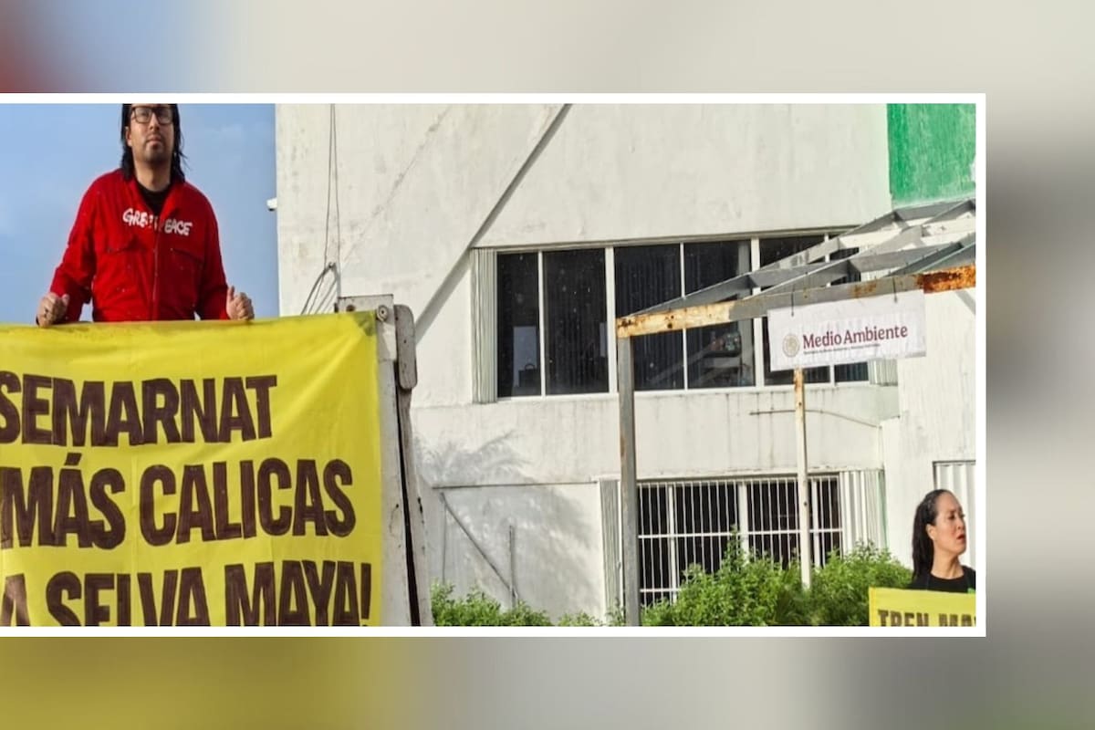 Greenpeace Cierra simbólicamente oficinas de Semarnat en Cancún por “avalar devastación de la selva” en la Península de Yucatán