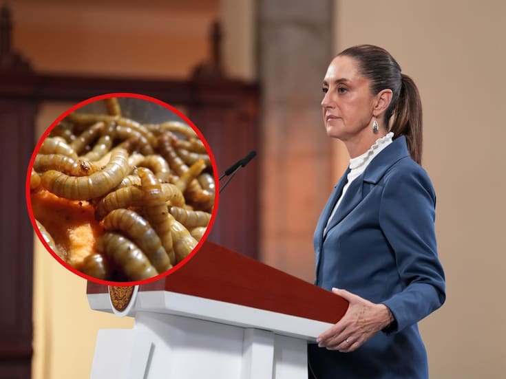 Sheinbaum reitera la necesidad de que se reabra la frontera de EEUU al ganado mexicano antes de finalizar la construcción de la planta de mosca estéril: “Es el objetivo”