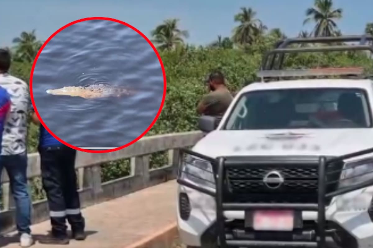 Profepa lanza alerta tras la muerte de un adolescente en Michoacán por presunto ataque de cocodrilo
