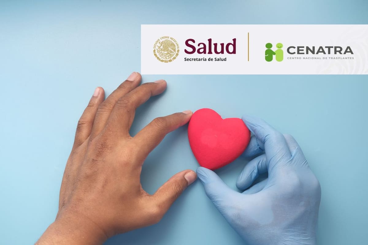 México hace historia con operativo de trasplantes multiorgánicos que salvó 15 vidas