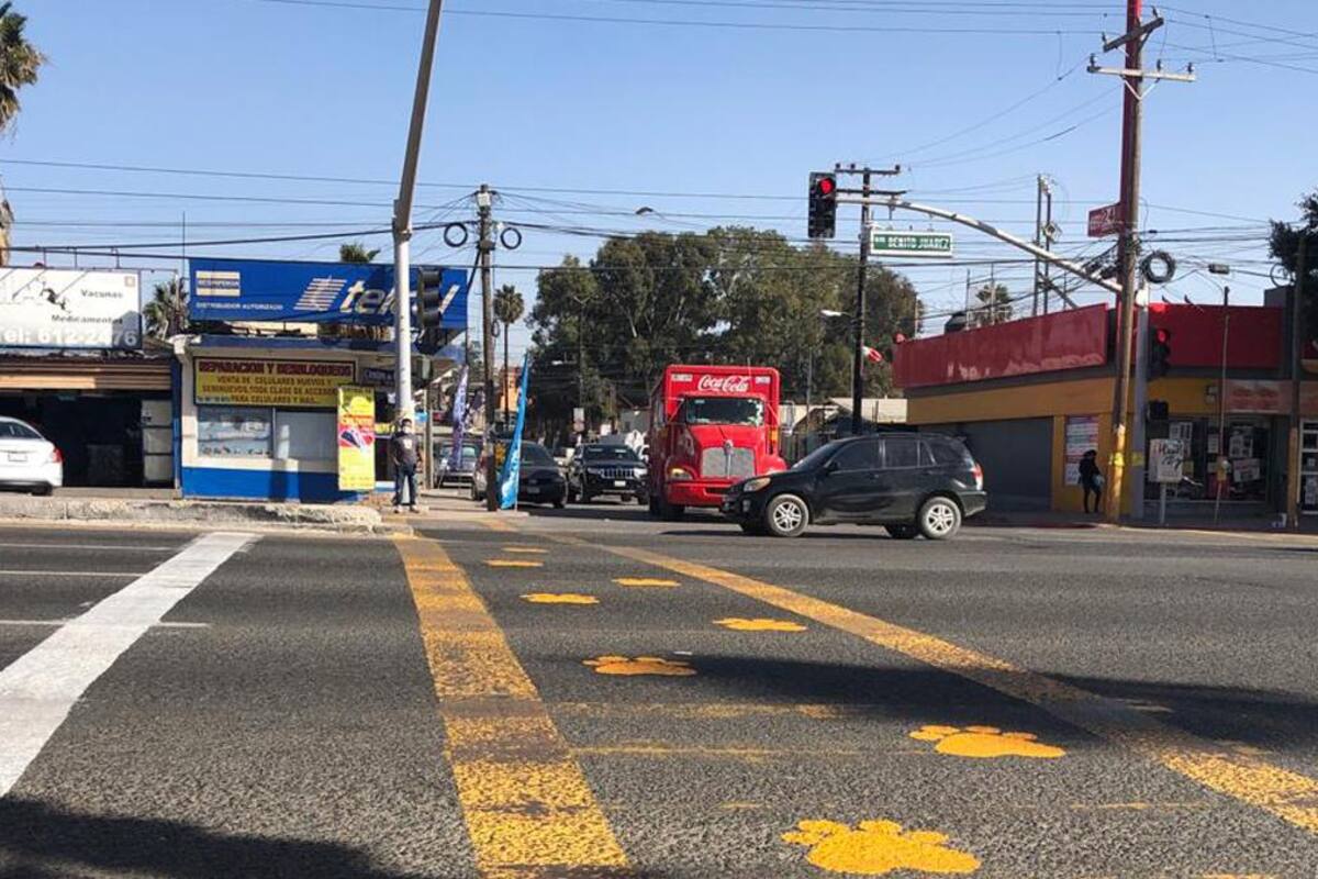 Casa Ccolitas pinta cruce para mascotas en Rosarito
