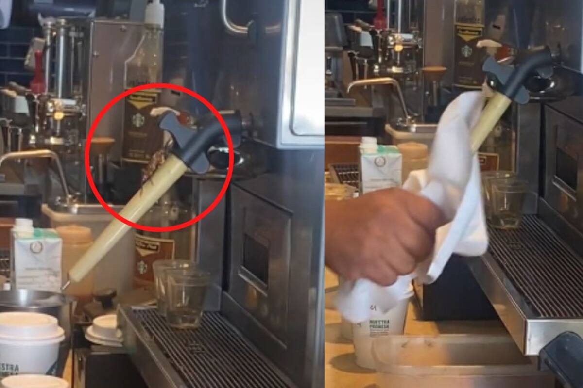 VIRAL: ¡Qué es eso! Usuario capta cucaracha mientras preparan su café en Starbucks