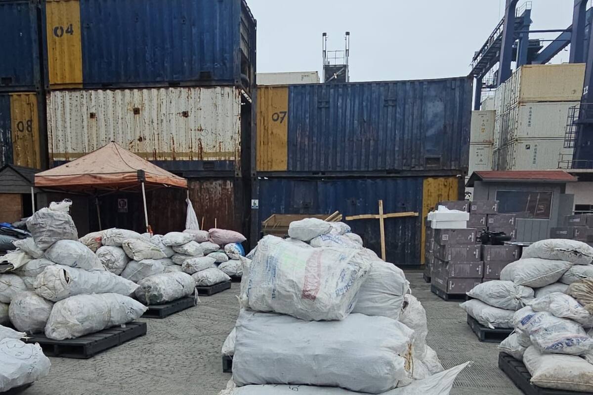 Retienen 2.4 tons. de aleta de tiburón en Puerto Ensenada