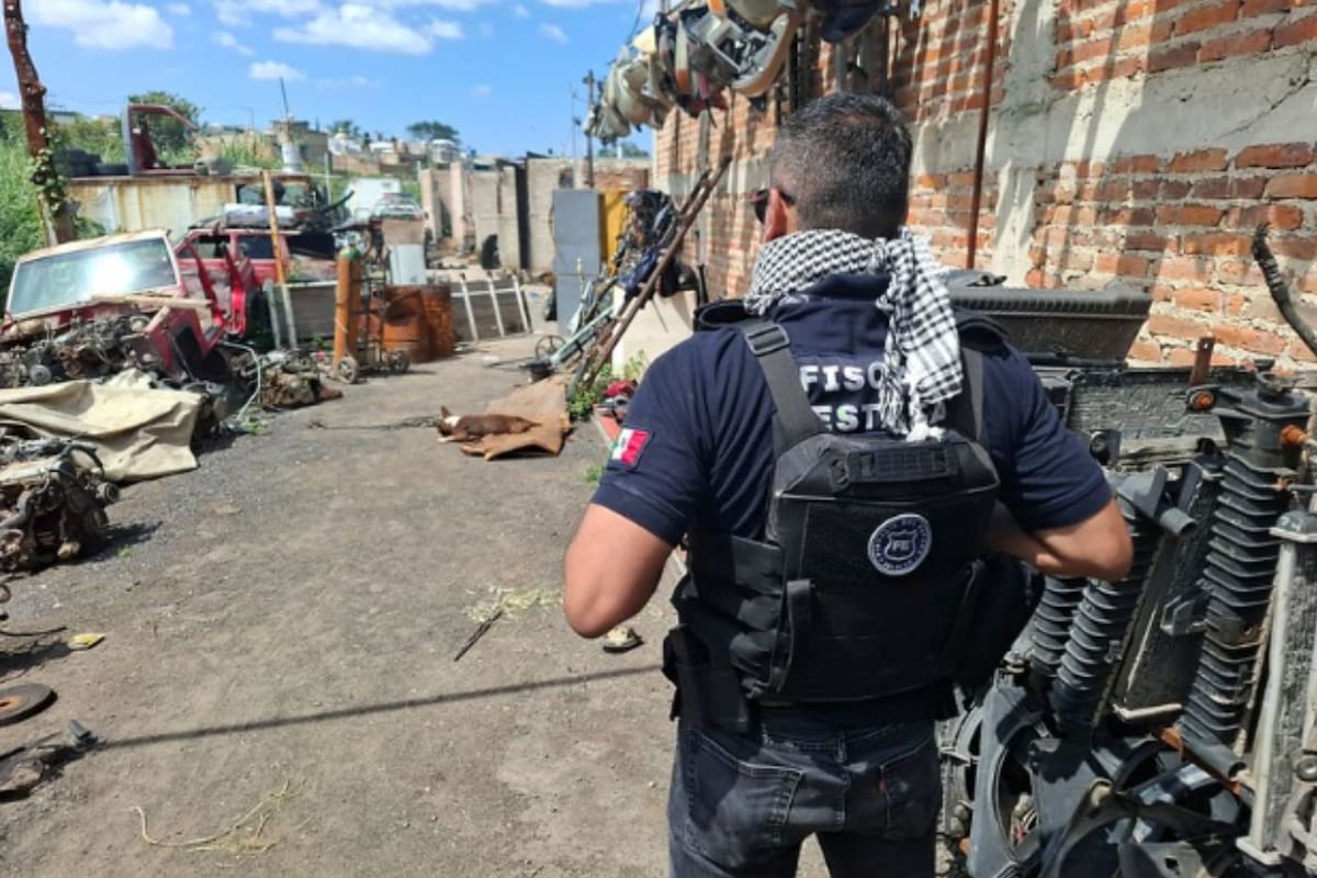 Cateo en Tonalá: Recuperan vehículo robado y hallan especies en peligro
