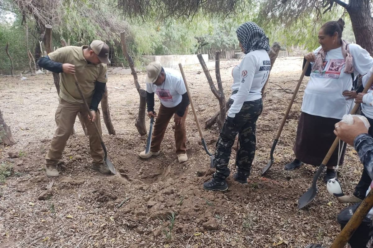 Hallan al menos dos restos óseos en SIRM