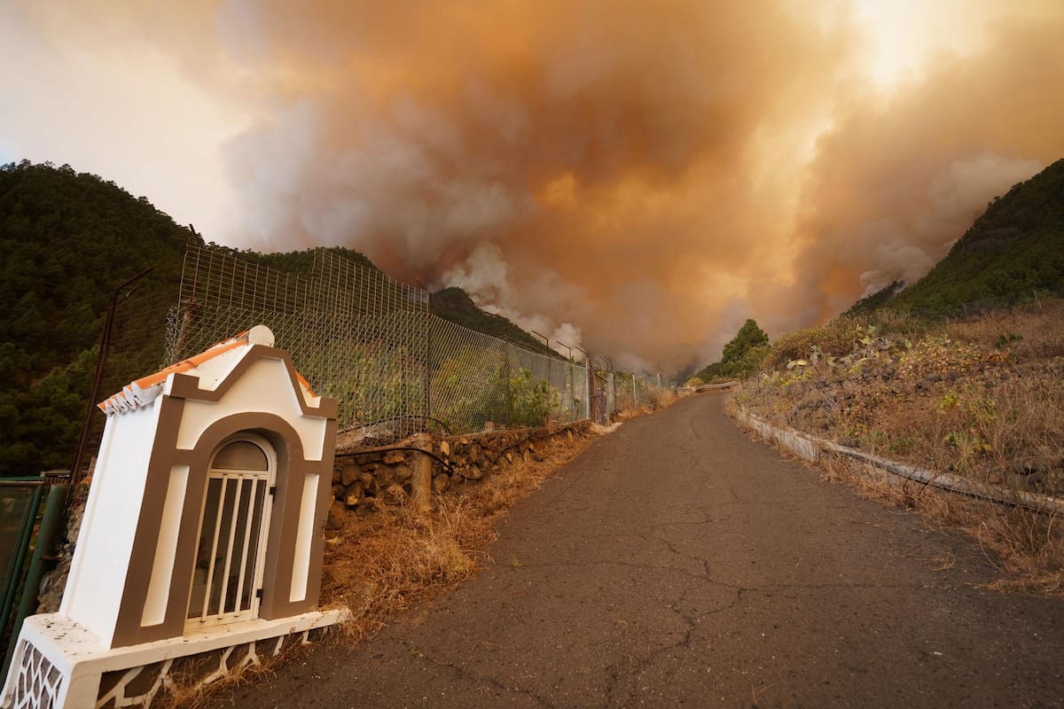 GRAFCAN5706. CANDELARIA, 16/08/2023.- La superficie afectada por el incendio forestal declarado la pasada noche en Tenerife se calcula en unas 800 hectáreas de los municipios de Arafo y Candelaria, además de zonas limítrofes en Santa Úrsula y La Victoria, en el norte de la isla. En las labores de combate de las llamas participan más de 150 efectivos por tierra y 13 medios aéreos. En la imagen, zona de los altos de Candelaria. EFE/ Ramón De La Rocha