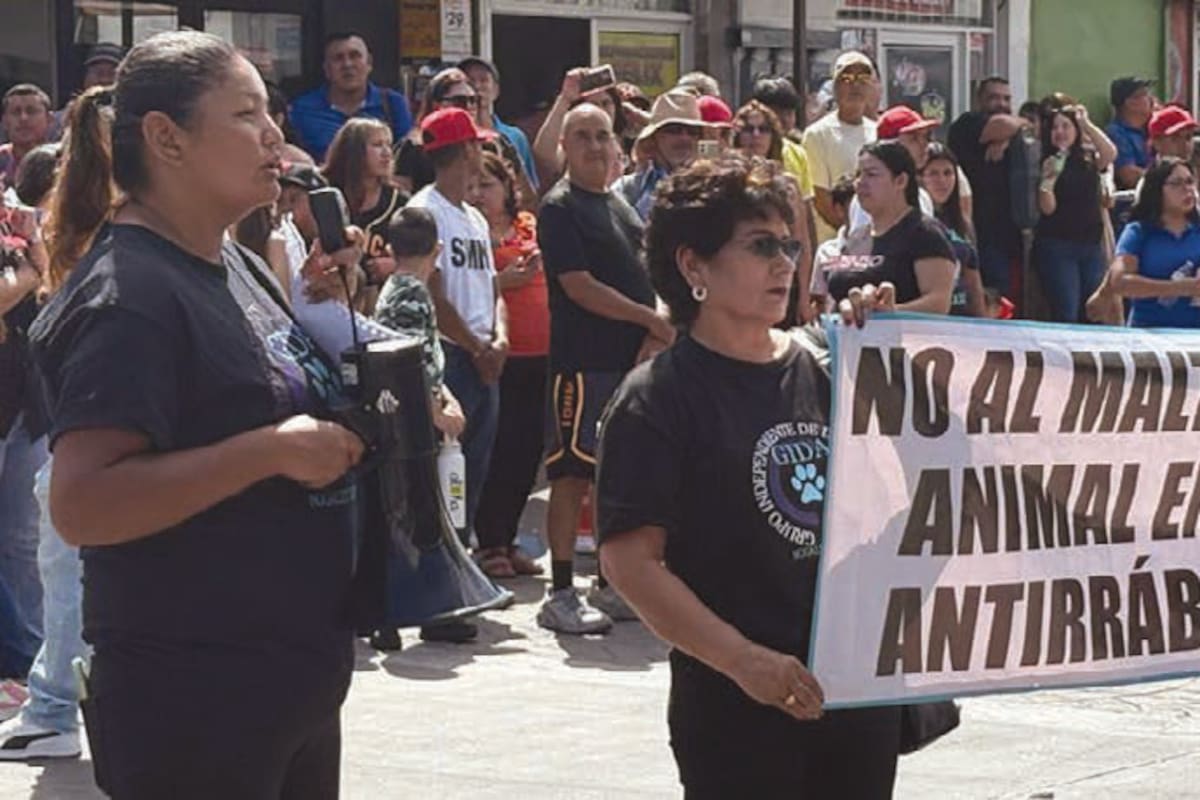 Grupo defensor de animales pide cambios en la administración de Bienestar Animal en Nogales
