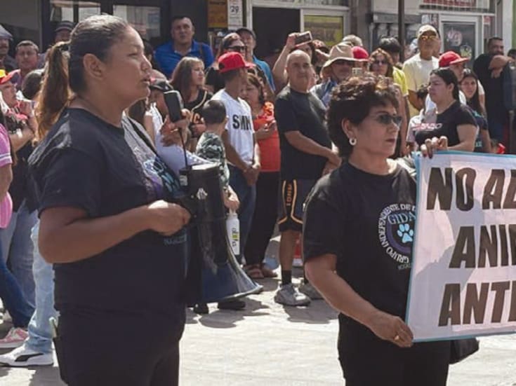 Grupo defensor de animales pide cambios en la administración de Bienestar Animal en Nogales