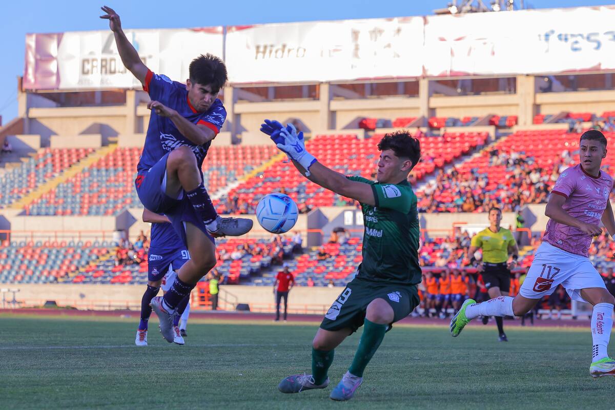 Debutan Cimarrones este viernes en Apertura 2024 de Liga Premier