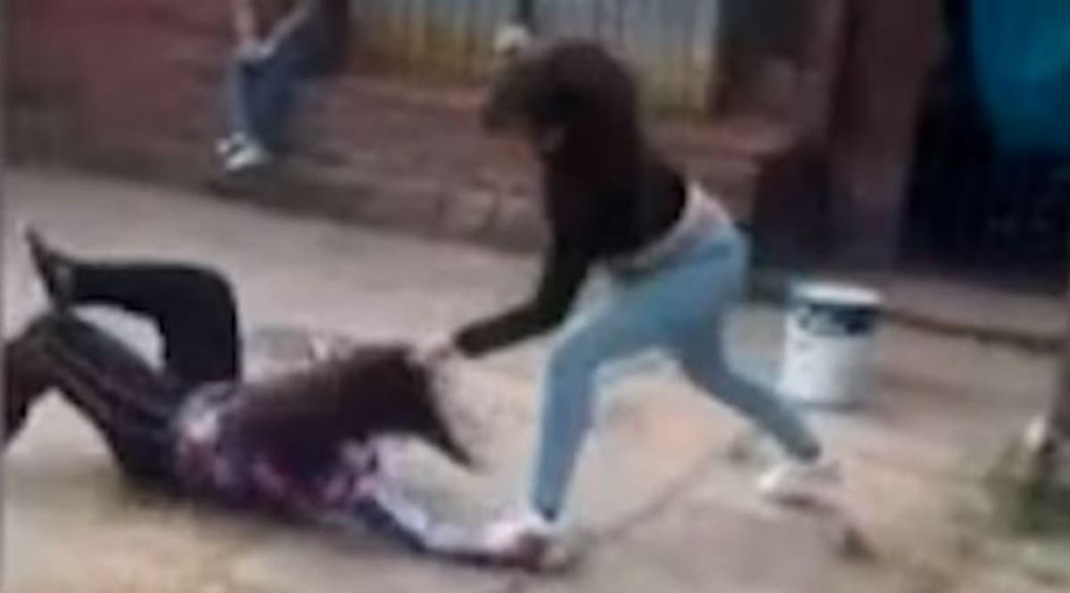 Violencia escolar en Argentina: estudiante agrede a compañera con discapacidad y presume el video. Foto: X: AlertaArgNews