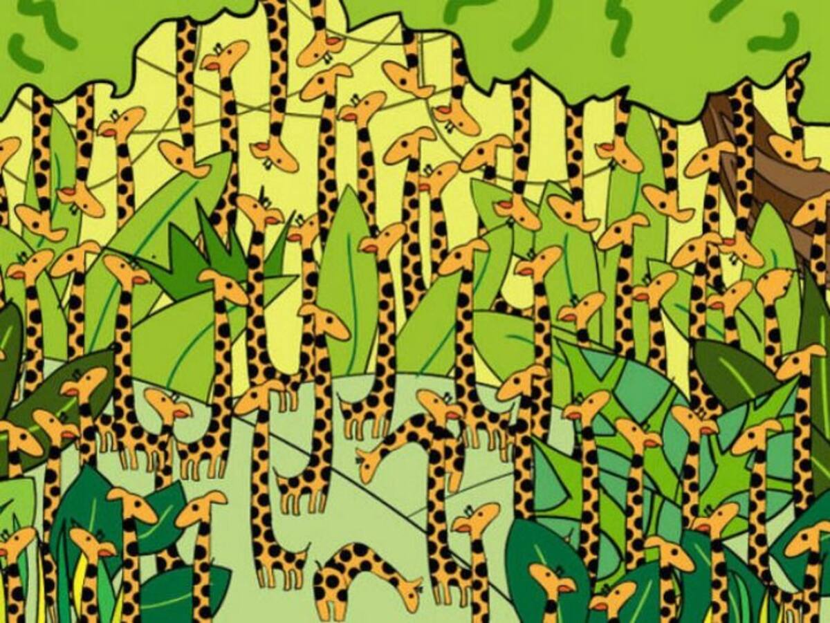 Acertijo visual: encuentra la serpiente entre las jurafas