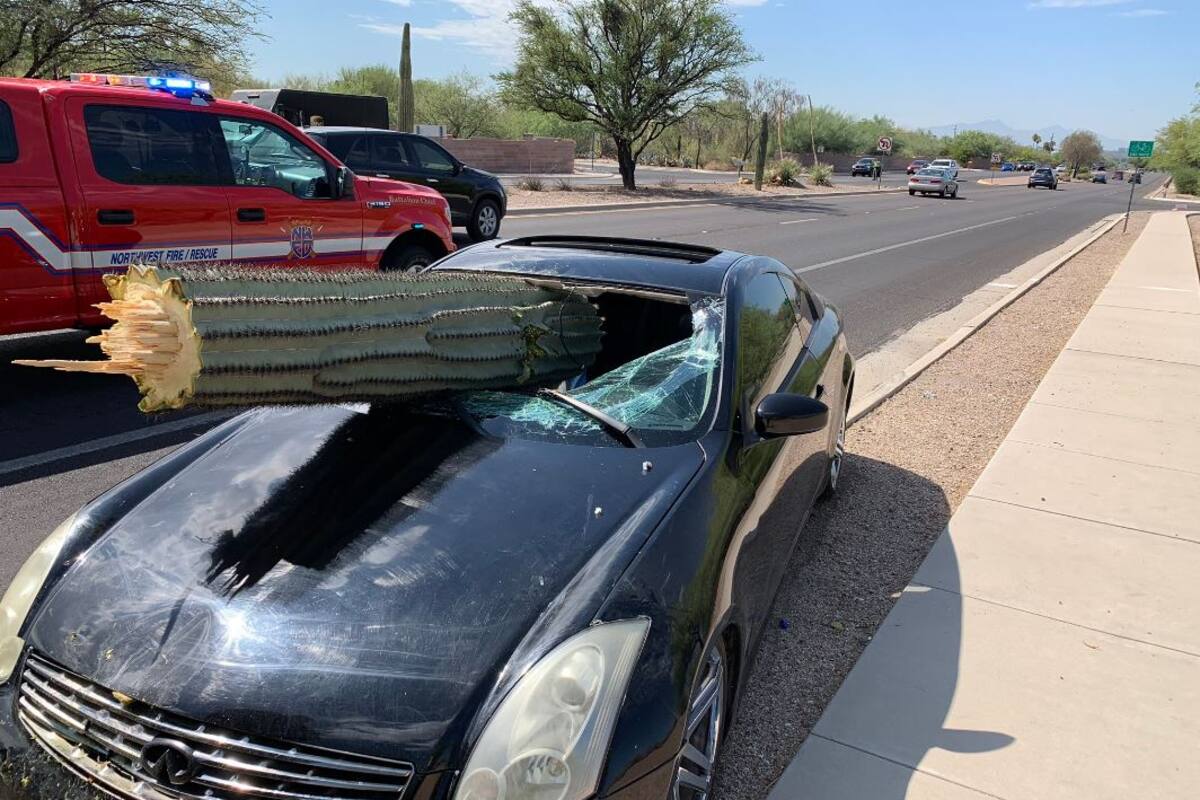 Conductor resulta herido tras golpear a sahuaro