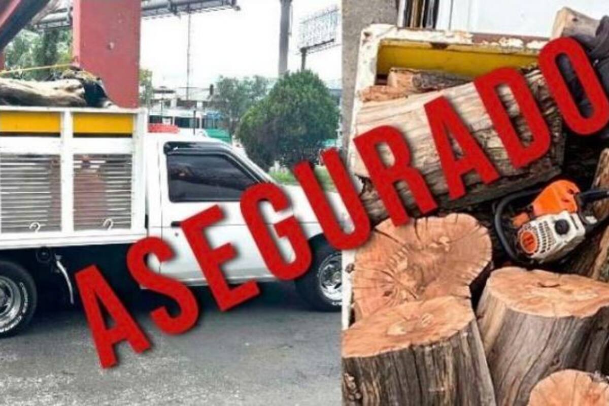 Edomex: Suman 34 detenidos de marzo a septiembre de 2022 relacionados con delitos ambientales