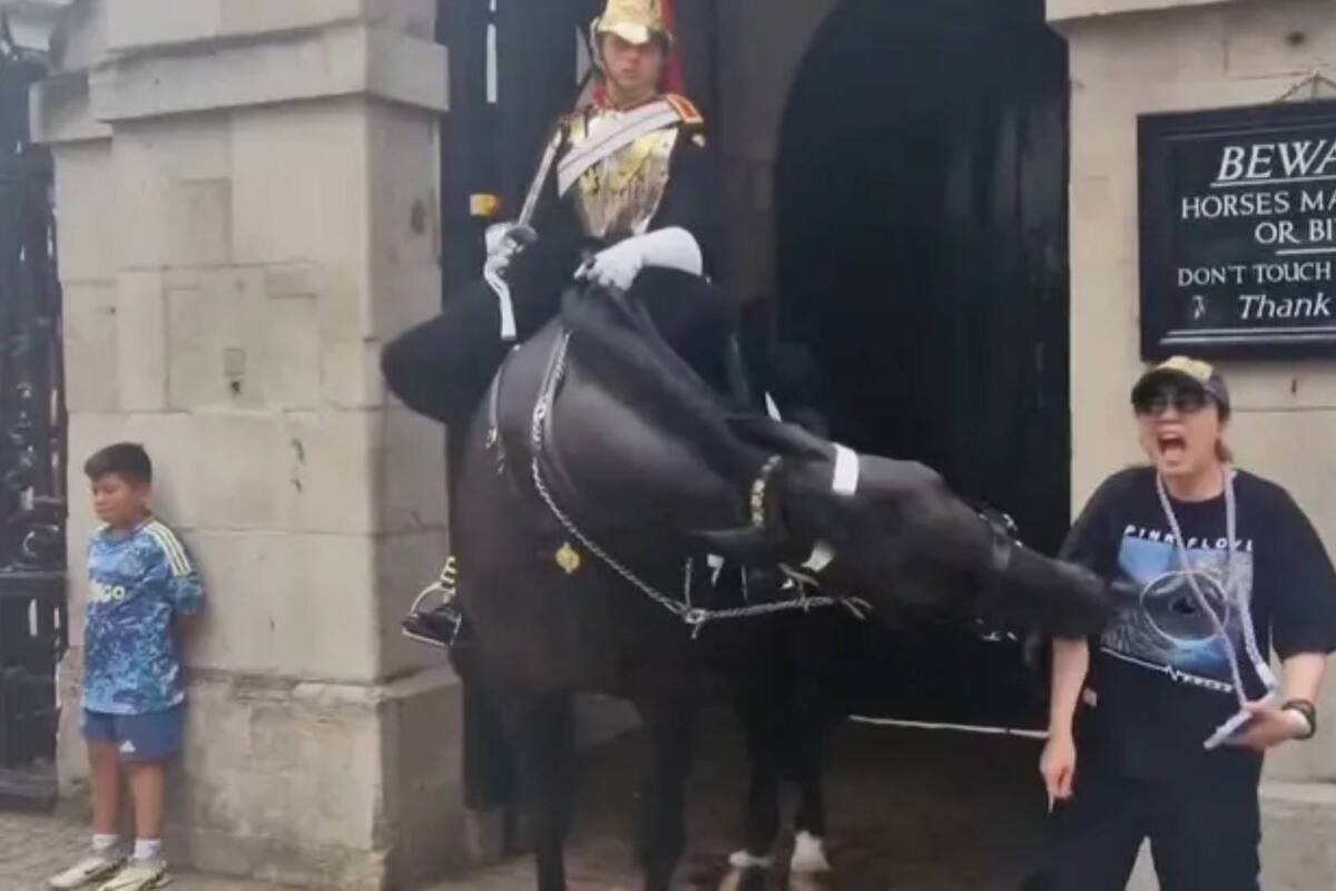 VIDEO: Cabello guardia del rey Carlos III muerde a turista
