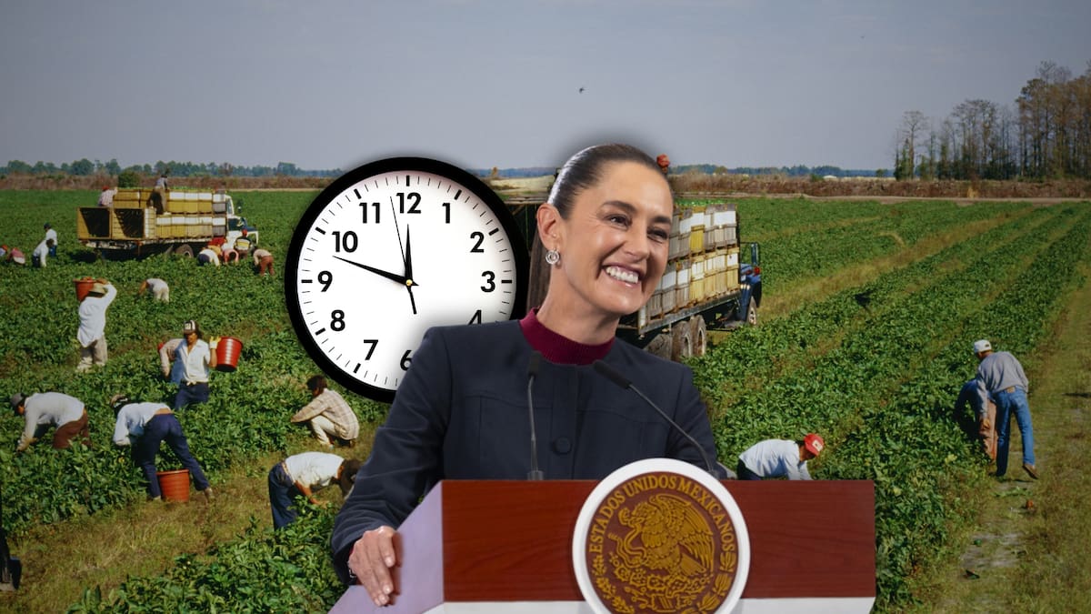 Ya es oficial: Jornada de 40 horas beneficiará a trabajadores de todo México, pero dará un “extra” a 200 mil trabajadores agrícolas, con límites a las horas extra y registro obligatorio a partir de 2027