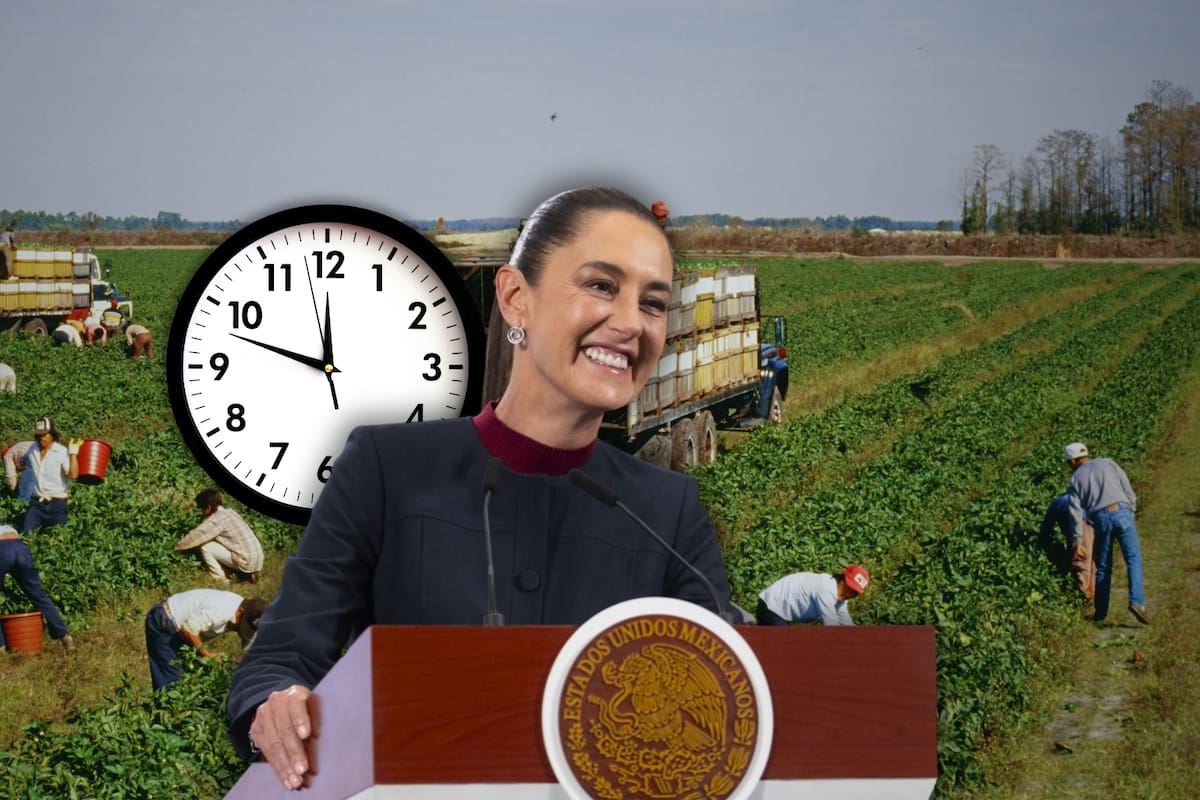 Ya es oficial: Jornada de 40 horas beneficiará a trabajadores de todo México, pero dará un “extra” a 200 mil trabajadores agrícolas, con límites a las horas extra y registro obligatorio a partir de 2027