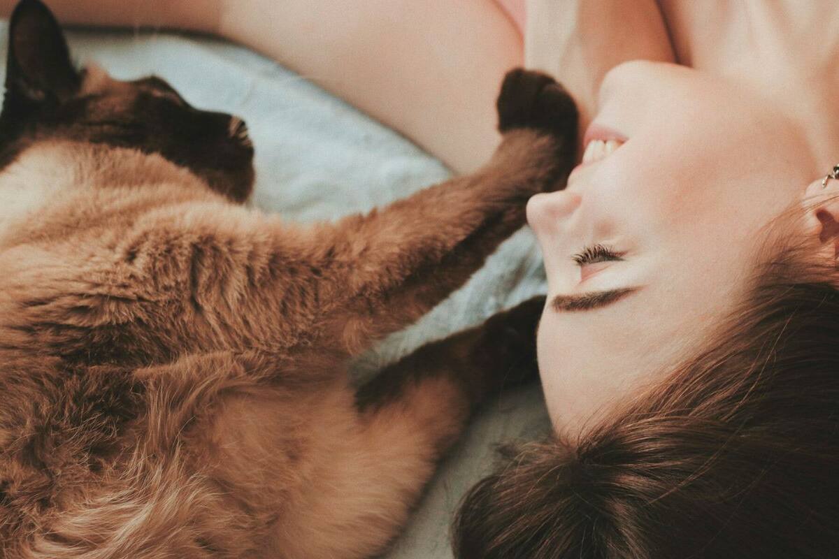 ¿Por qué los gatos le maúllan a las personas? Ciencia tiene la respuesta