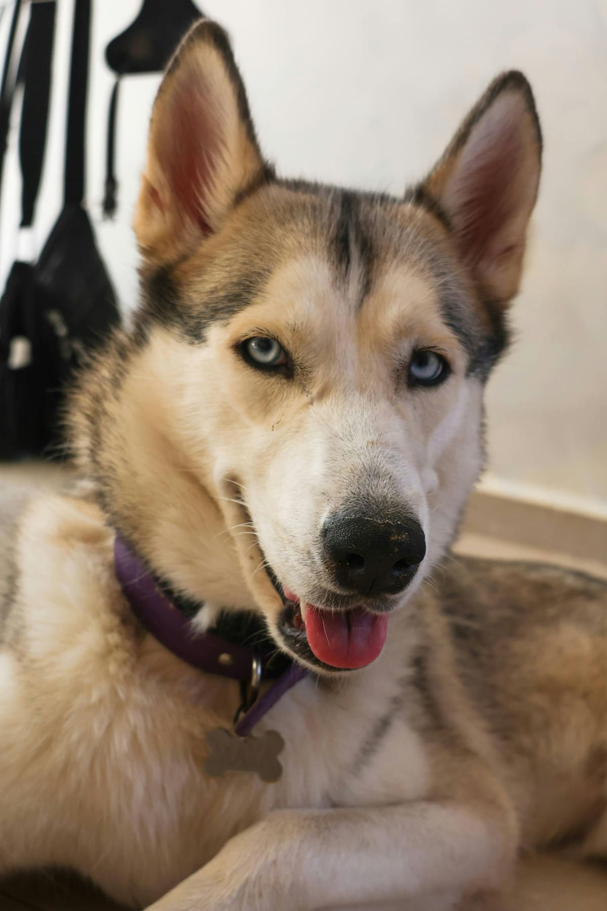 Imagen tomada de Pexels