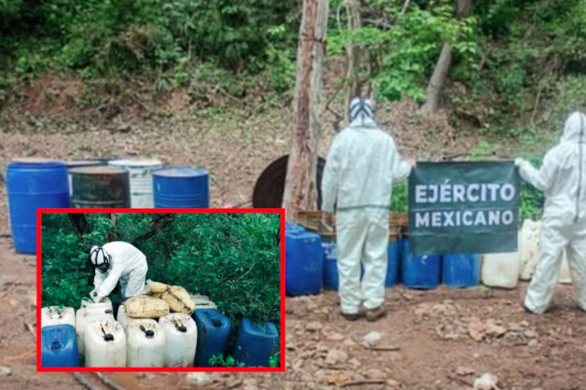 Cae red química en Sinaloa: destruyen laboratorio clandestino y siete zonas de almacenamiento en Culiacán y Cosalá