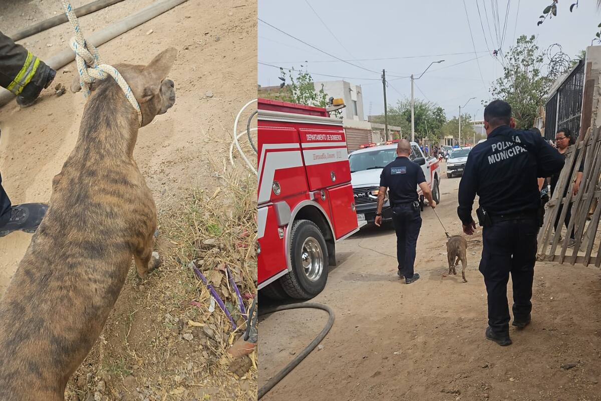 Policías salvan a perros de incendio