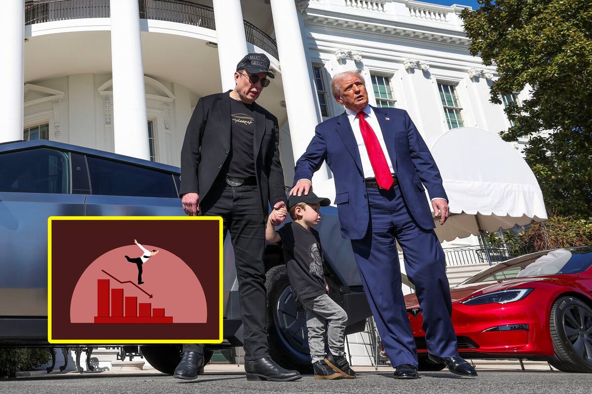 Sigue la caída del precio de las acciones de Tesla y protestas contra Elon Musk