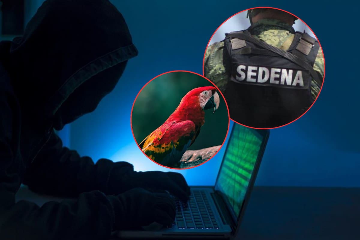 Sedena: hackeo “Guacamaya leaks” fue por “falla humana”, revela el general Trevilla