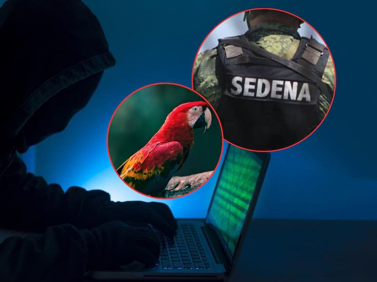 Sedena: hackeo “Guacamaya leaks” fue por “falla humana”, revela el general Trevilla