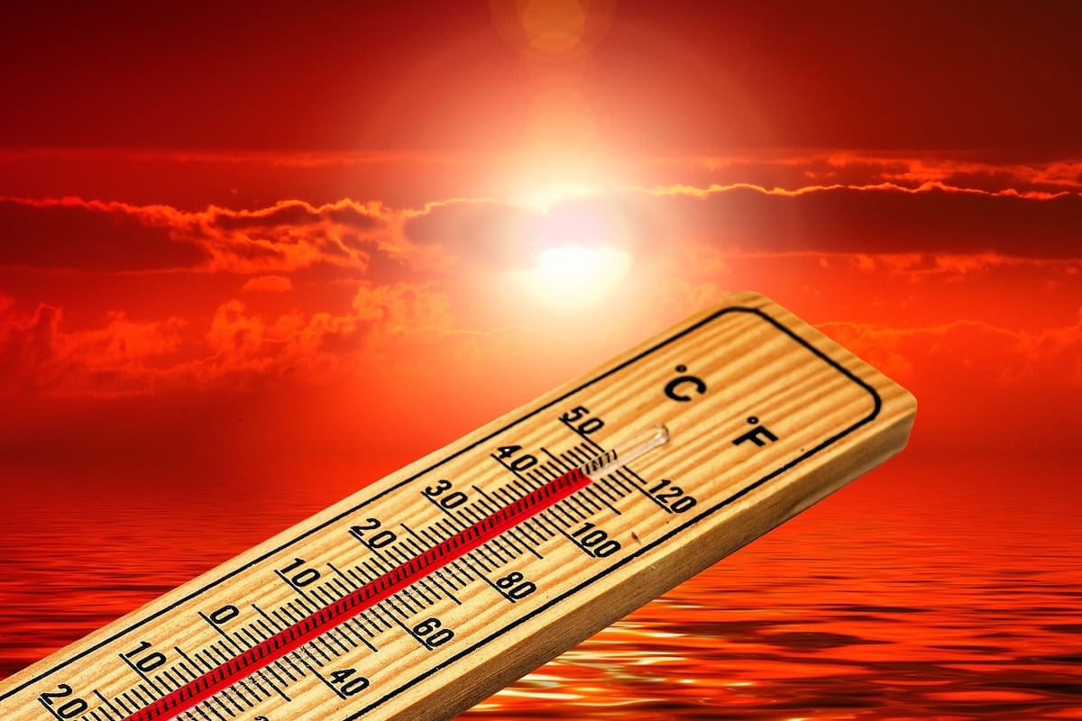 El Niño llegará con todo a Mexicali este verano; hasta 46 grados, tolvaneras, sequía extrema