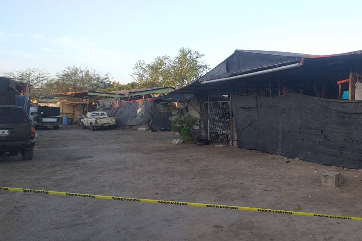 Hallan a hombre sin vida en San Felipe, con golpes en la cabeza