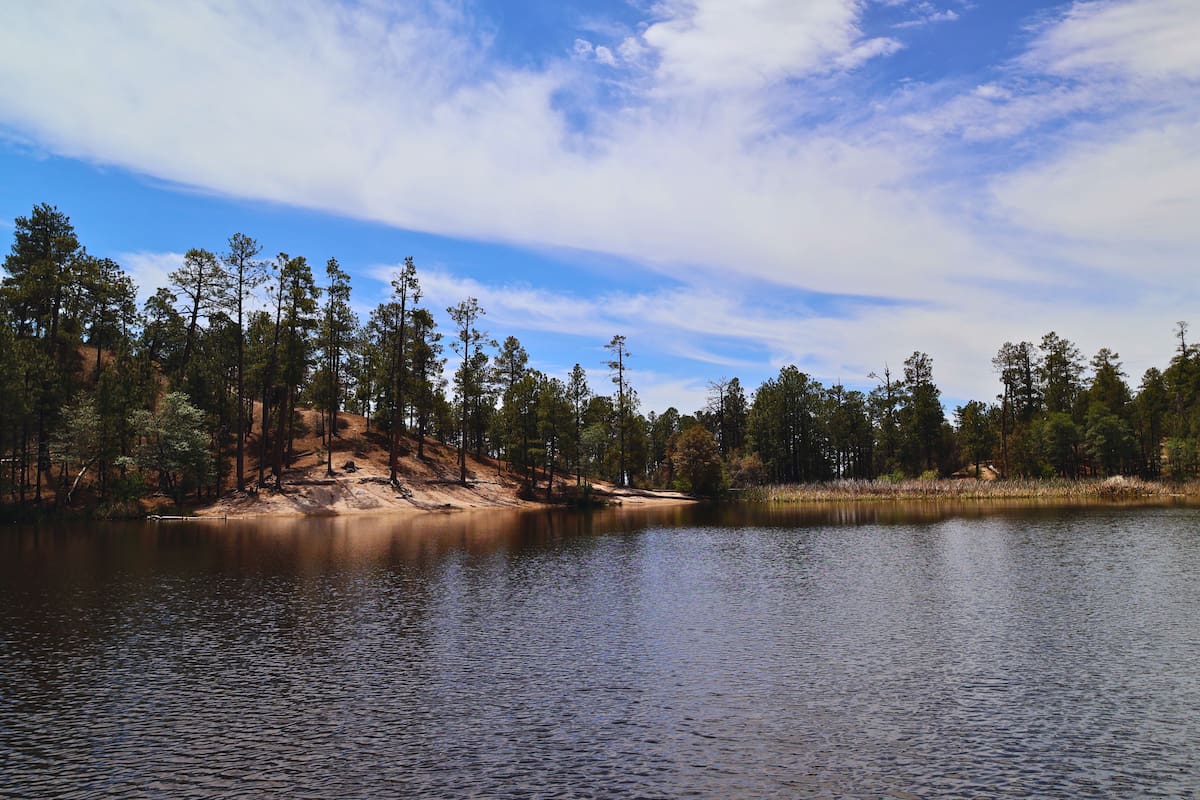Rose Canyon Lake: pesca y paisajes cerca de Tucson