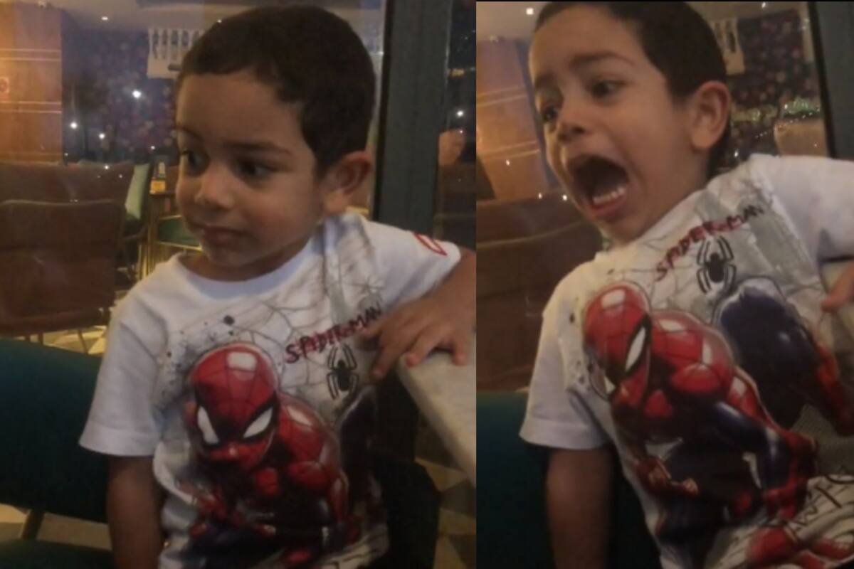 VIDEO: niño se vuelve viral por gritar aterrado al tener un perro cerca de él