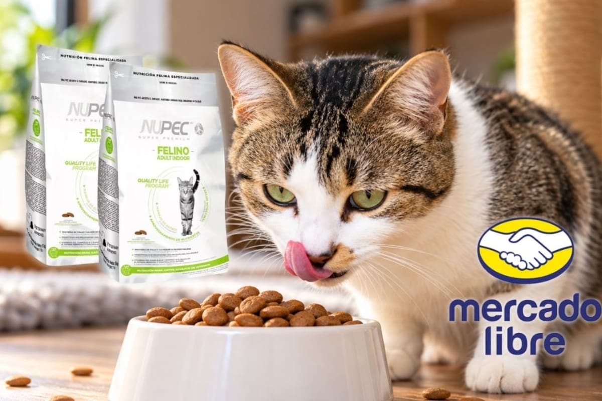 Mercado Libre ofrece el paquete de 10 kilos de alimento para gato Nupec Indoor con descuento del 20 por ciento y envío gratis a todo México