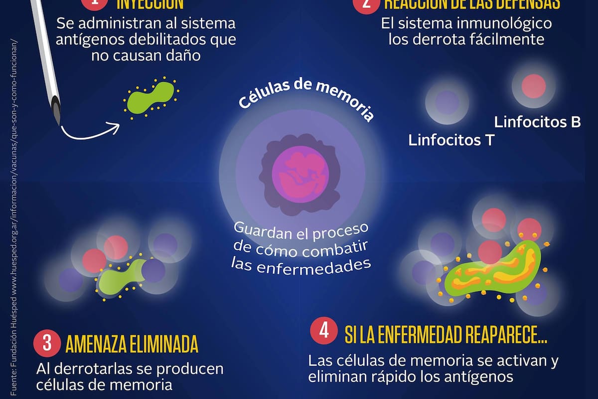 ¿Cómo funcionan las vacunas?