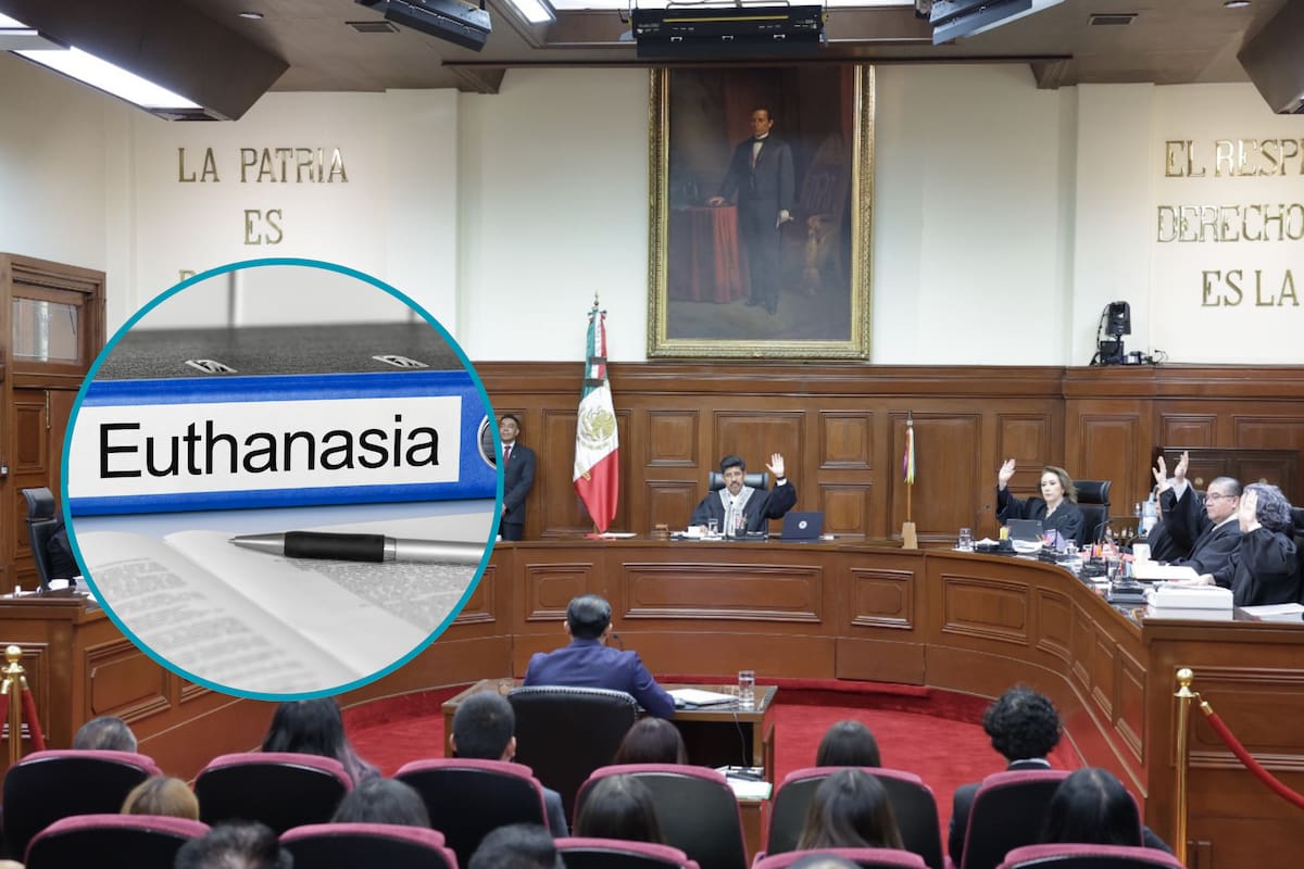 México abre debate sobre la eutanasia: La SCJN decidió estudiar si la prohibición absoluta vulnera derechos como la dignidad humana y el libre desarrollo de la personalidad; la discusión también tocará los cuidados paliativos y la objeción de conciencia médica