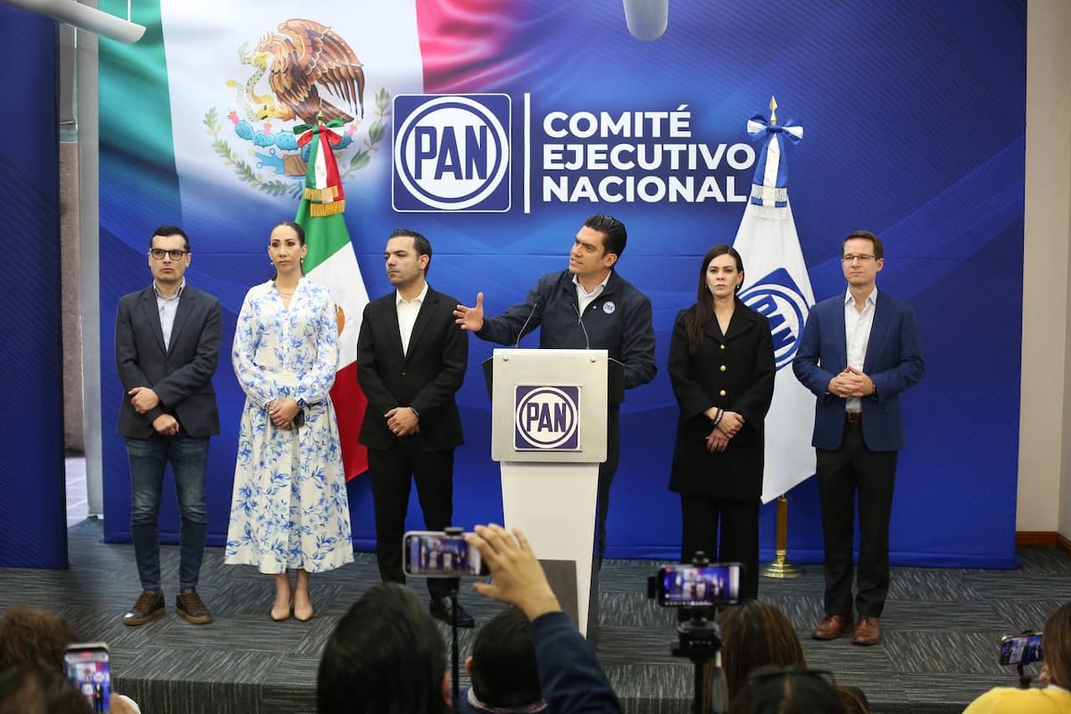 Pagar menos por gasolina, luz y más seguridad propone dirigencia del PAN