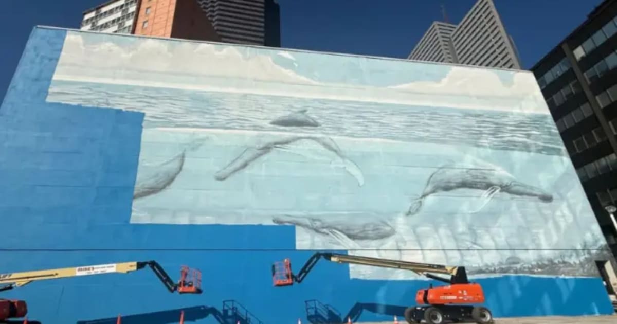 Una demanda de 25 millones de dólares enfrenta a un artista con la FIFA después de que su mural de ballenas, pintado en 1999 y convertido en símbolo de Dallas, fuera cubierto de azul antes del Mundial