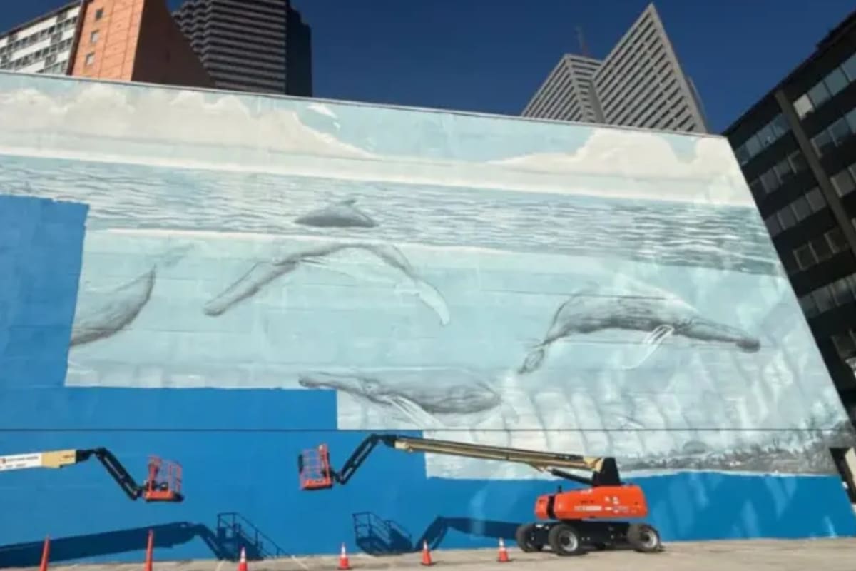 Una demanda de 25 millones de dólares enfrenta a un artista con la FIFA después de que su mural de ballenas, pintado en 1999 y convertido en símbolo de Dallas, fuera cubierto de azul antes del Mundial