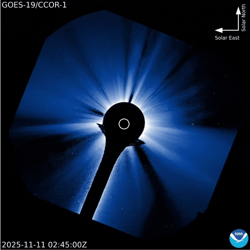 Las imágenes del coronógrafo muestran que la CME se elevó rápidamente esta mañana (11 de noviembre) (Foto: Centro de Predicción del Clima Espacial de la NOAA).