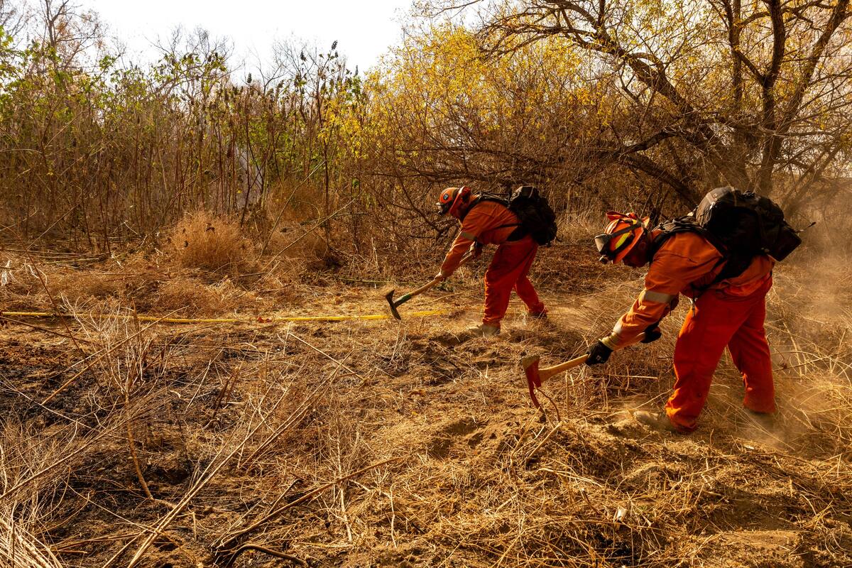 El siniestro denominado “Border 2” inició desde el jueves por la tarde con 10 acres. Foto: Abdiel Ortega