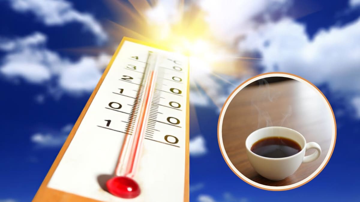 ¿Café caliente en plena ola de calor? La UNAM explica por qué puede refrescarte más que un agua fría
