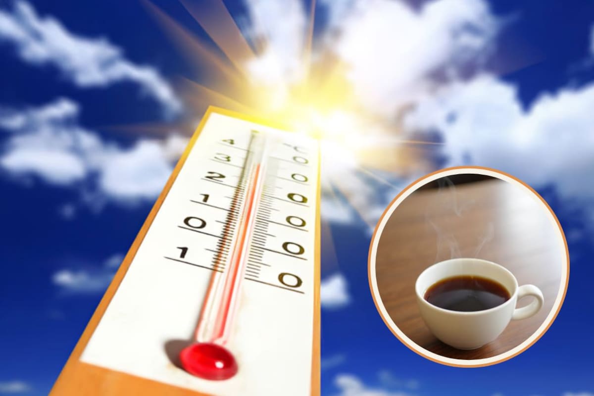 ¿Café caliente en plena ola de calor? La UNAM explica por qué puede refrescarte más que un agua fría