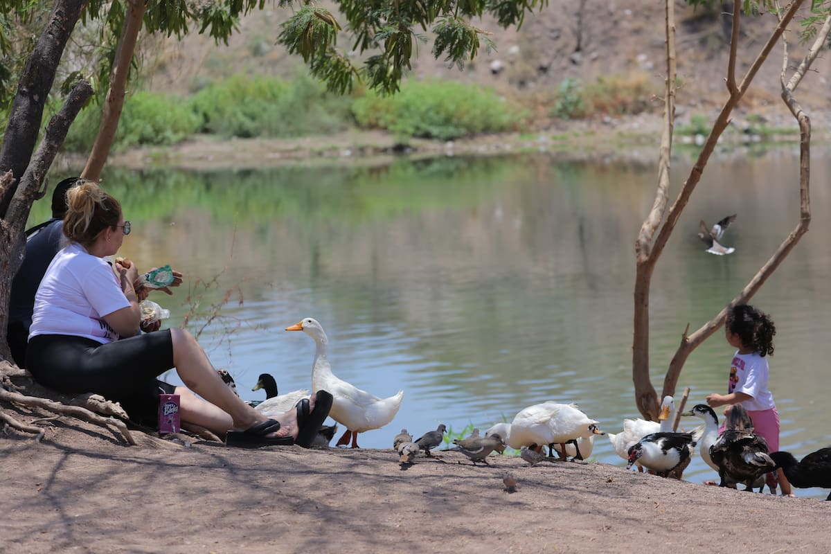 Destacan importancia de los humedales para la biodiversidad en Sonora