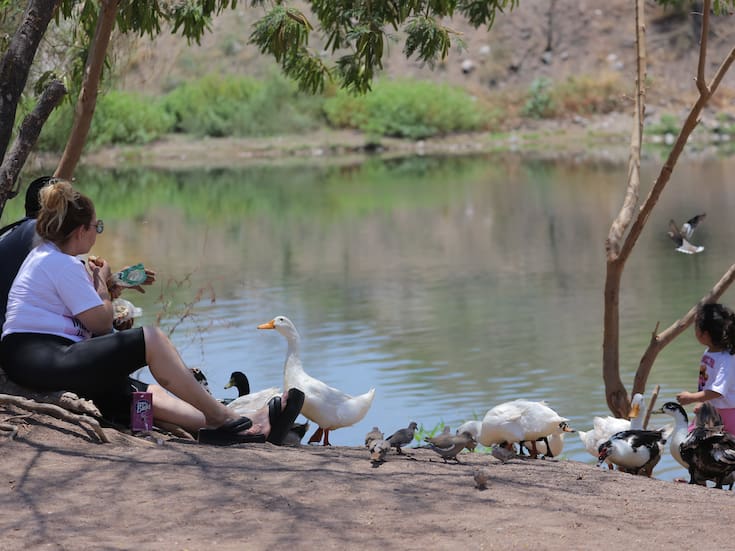 Destacan importancia de los humedales para la biodiversidad en Sonora