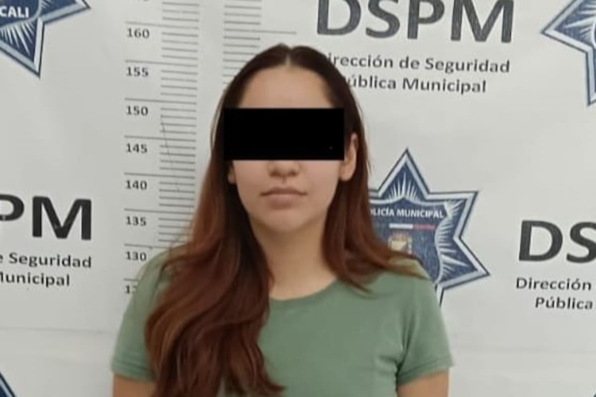 Joven detenida por agredir a la dueña del perro que mordió a su mamá