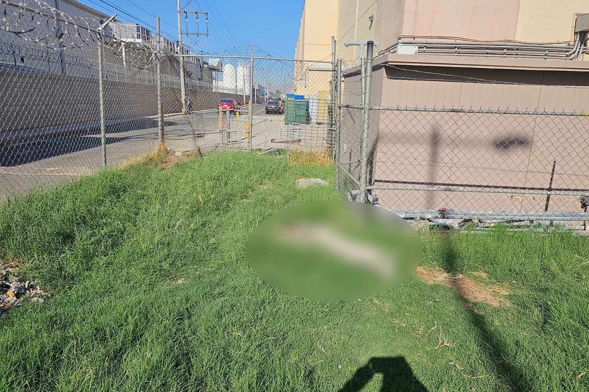 Localizan a persona sin vida por descarga eléctrica en centro comercial