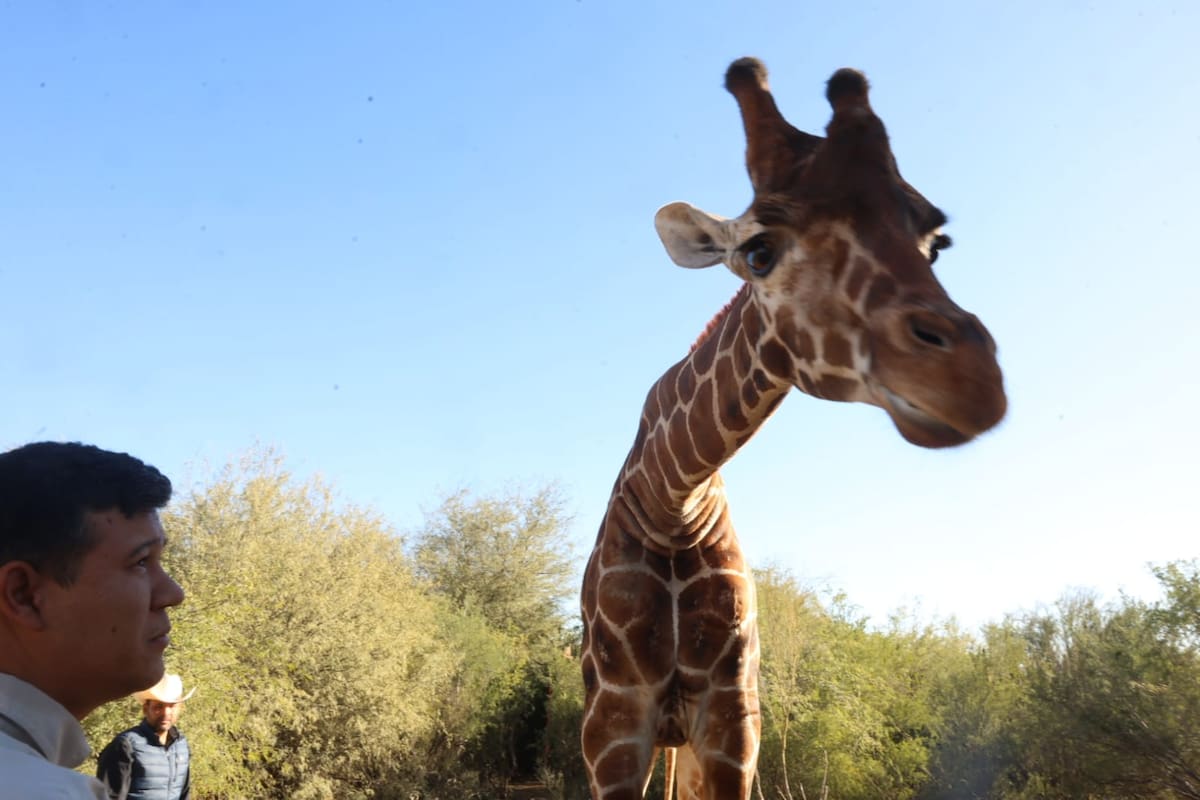 Foto: Teodoro Borbón.