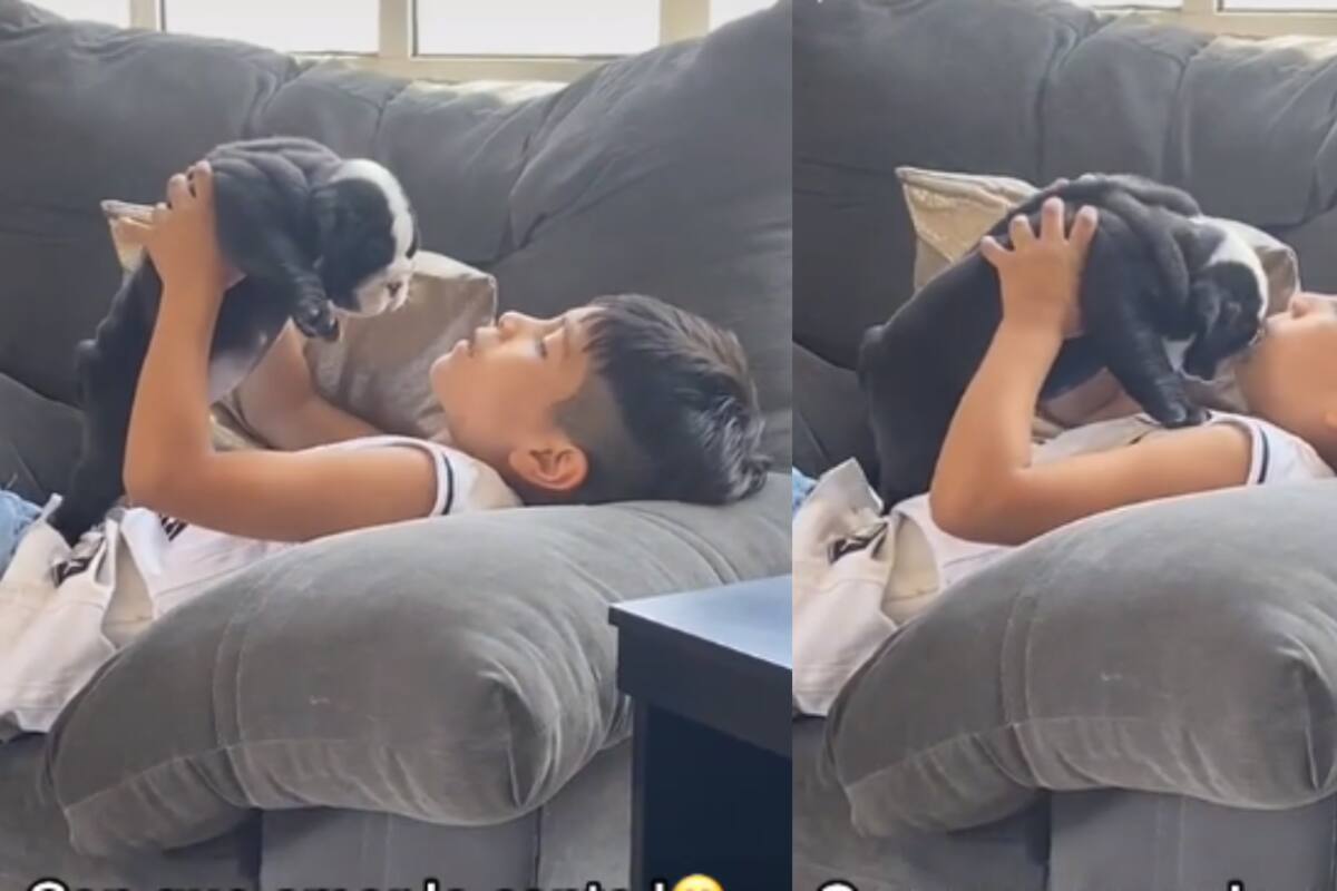 VIDEO: Graban a niño dedicándole una canción romántica a su perro, “Eres el motivo que me hace vivir”
