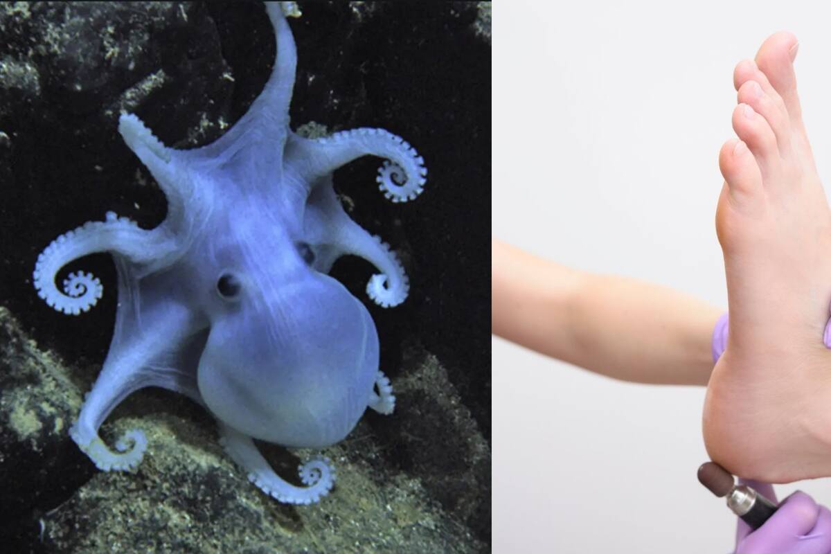 Efemérides del 8 de octubre: ¿Qué pasó un día como hoy?