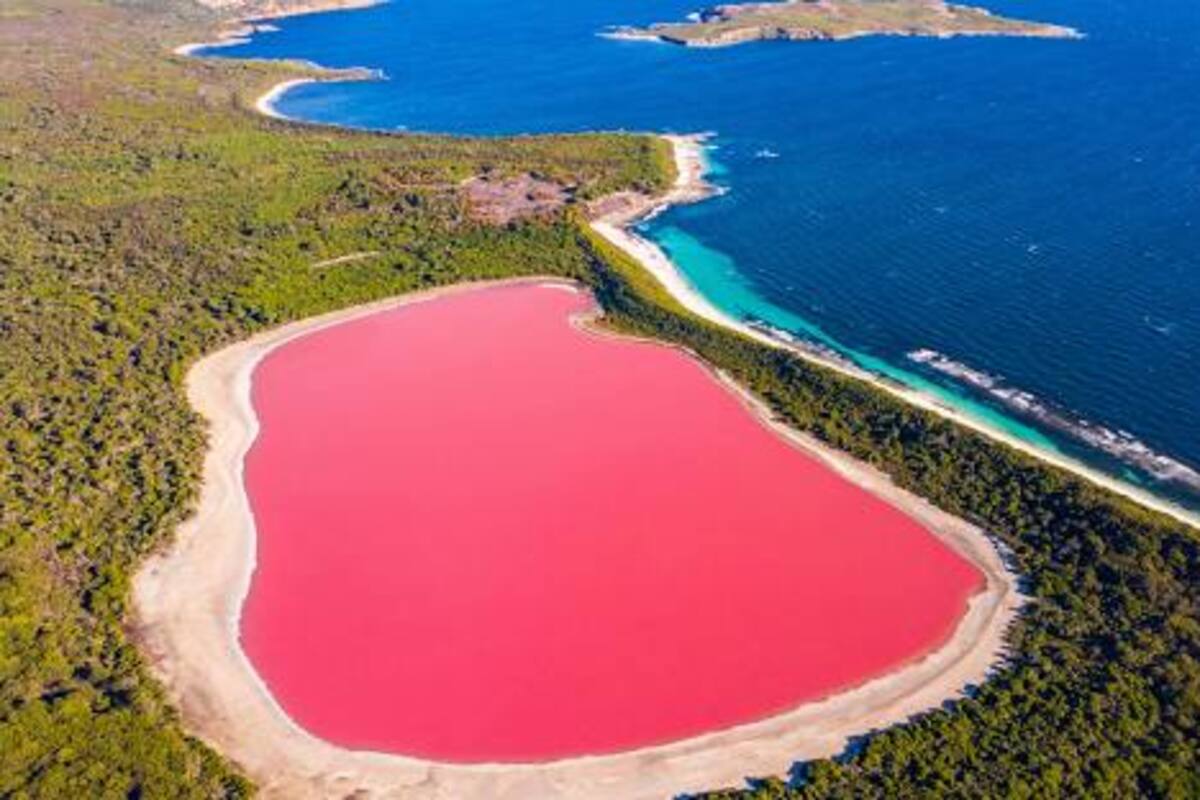 El lago rosa que parece sacado de una fantasía y no cambia de color en un frasco