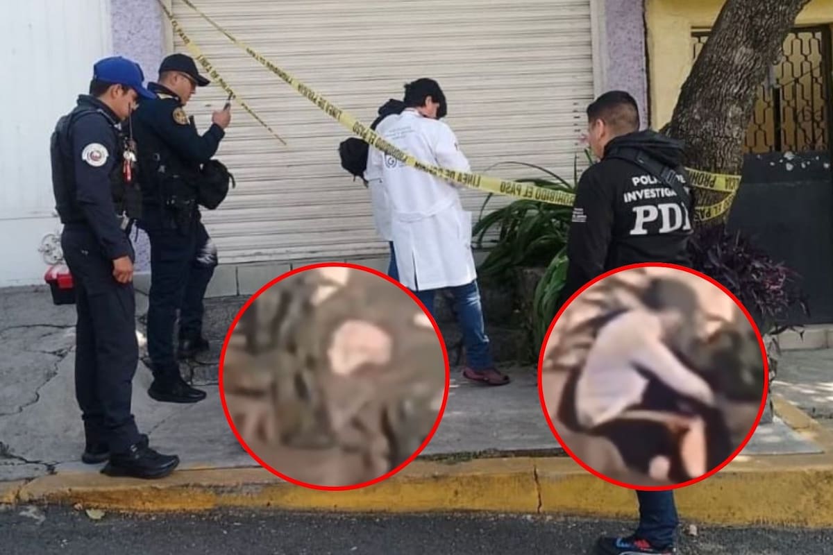 Video: Joven abandona feto de 8 meses en jardinera de la alcaldía Tlalpan